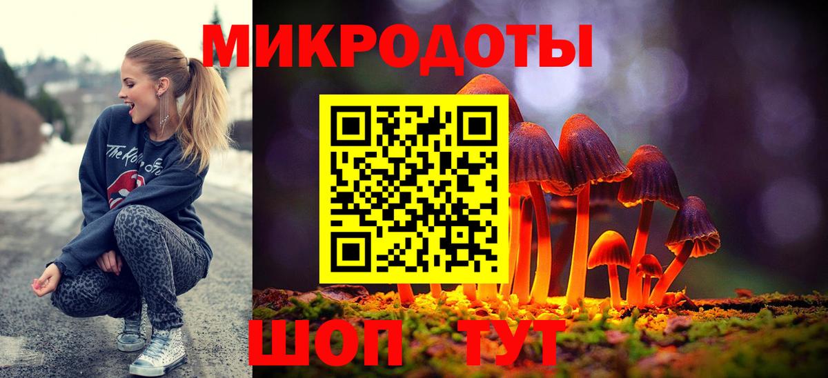Галлюциногенные грибы Psilocybine cubensis  Вход с VPN  Ноябрьск  Псилоцибиновые грибы мицелий 